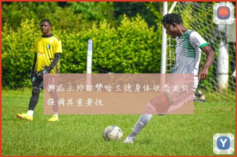 挪威主帅称赞哈兰德身体状态良好强调其重要性