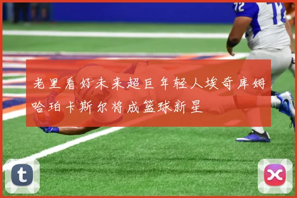 老里看好未来超巨年轻人埃奇库姆哈珀卡斯尔将成篮球新星