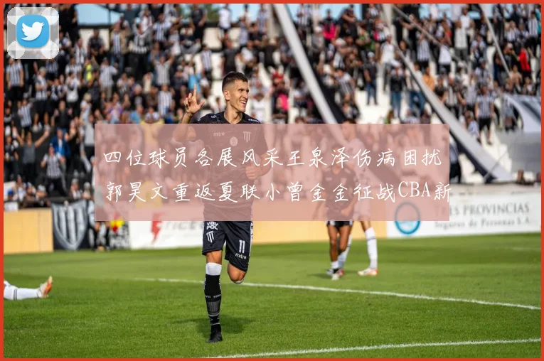 四位球员各展风采王泉泽伤病困扰郭昊文重返夏联小曾金金征战CBA新赛季